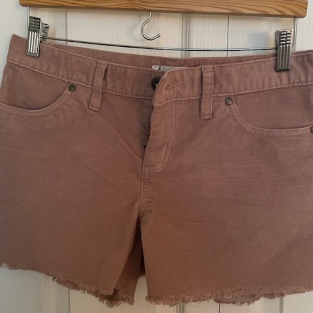Carve Design Oahu 4 inch Corduroy Shorts NWT